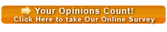 Online Survey